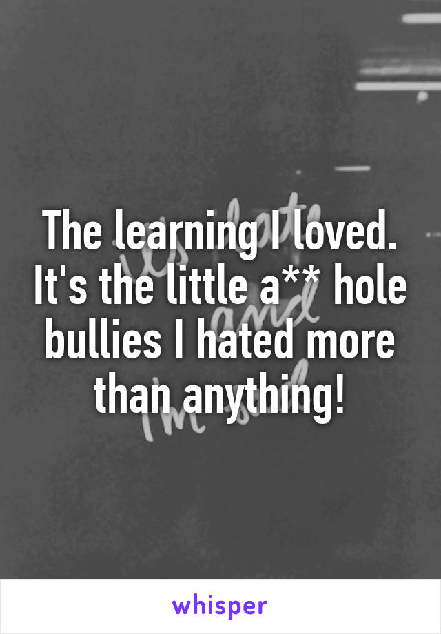 The learning I loved. It's the little a** hole bullies I hated more than anything!