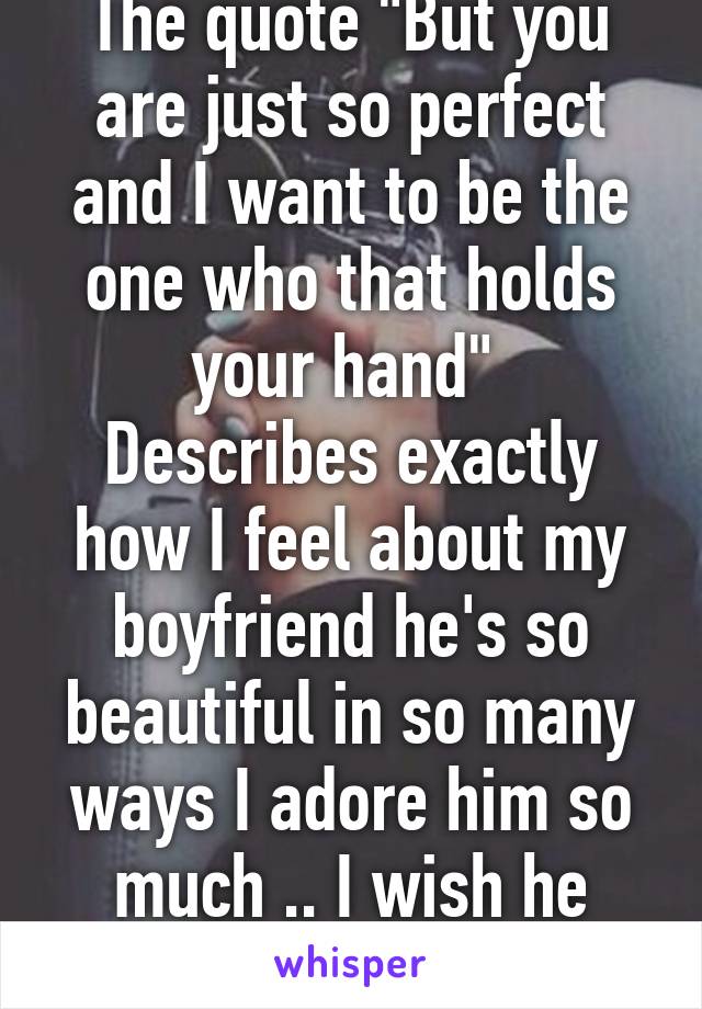 The quote "But you are just so perfect and I want to be the one who that holds your hand" 
Describes exactly how I feel about my boyfriend he's so beautiful in so many ways I adore him so much .. I wish he could see what I see