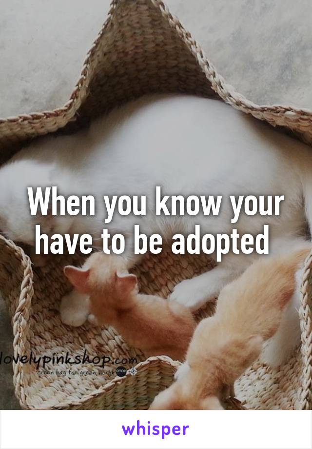 When you know your have to be adopted 