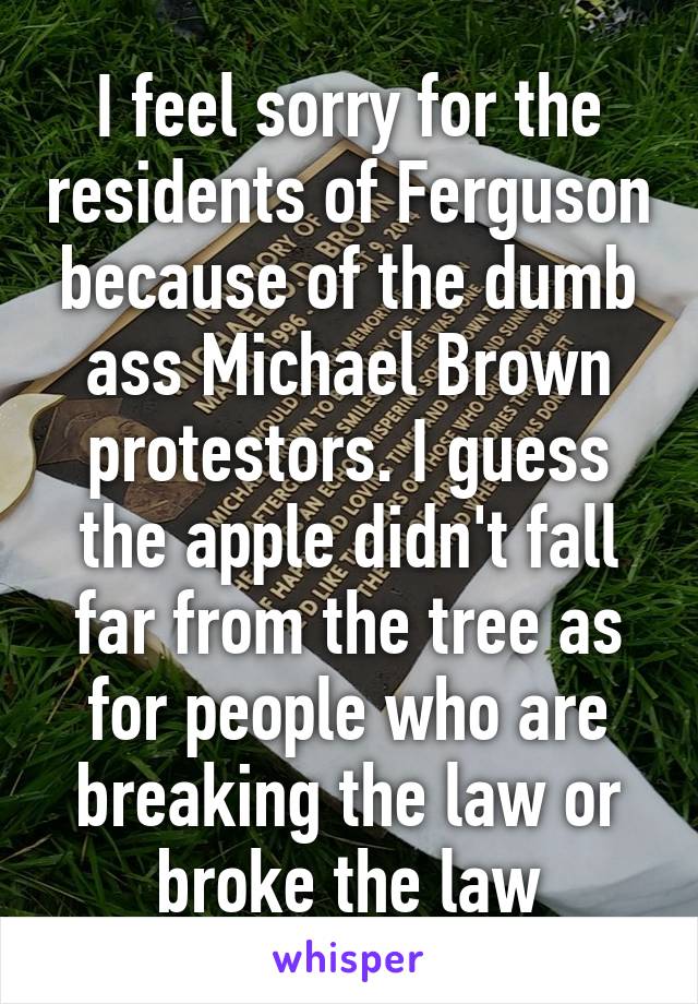 I feel sorry for the residents of Ferguson because of the dumb ass Michael Brown protestors. I guess the apple didn't fall far from the tree as for people who are breaking the law or broke the law