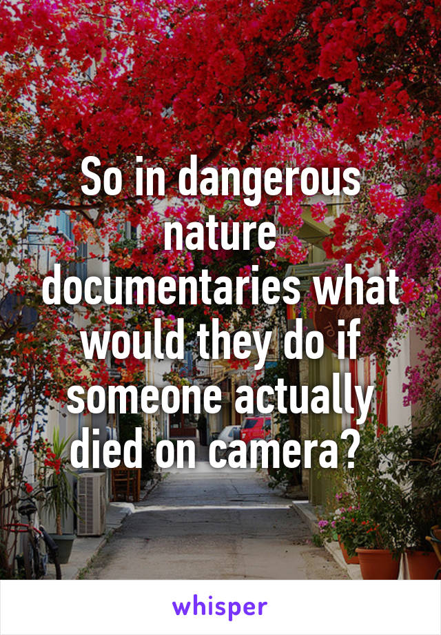 So in dangerous nature documentaries what would they do if someone actually died on camera? 