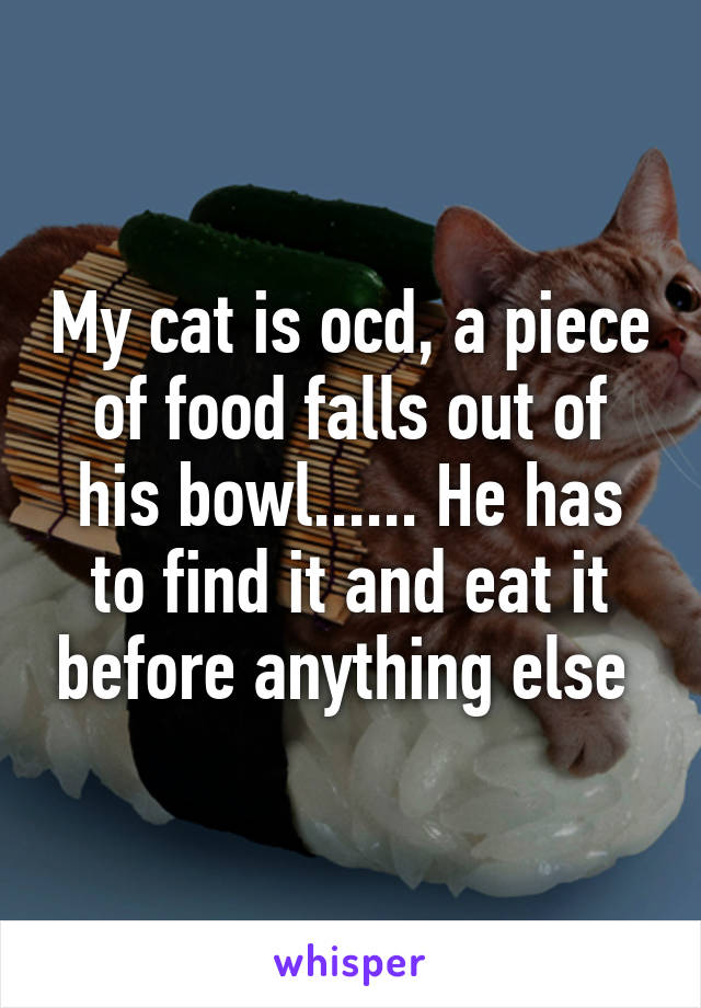 My cat is ocd, a piece of food falls out of his bowl...... He has to find it and eat it before anything else 