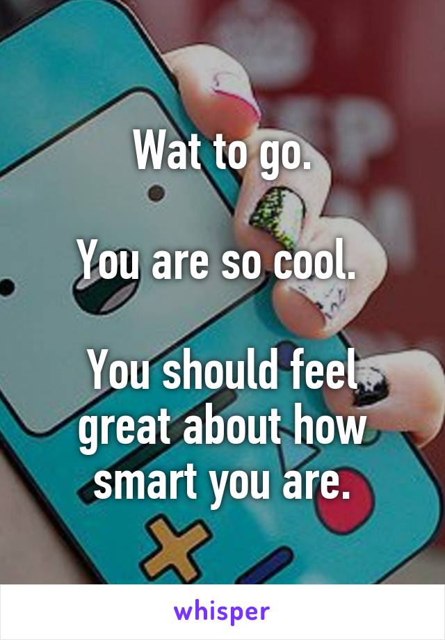 Wat to go.

You are so cool. 

You should feel great about how smart you are.