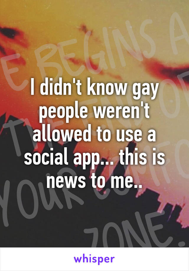 I didn't know gay people weren't allowed to use a social app... this is news to me..