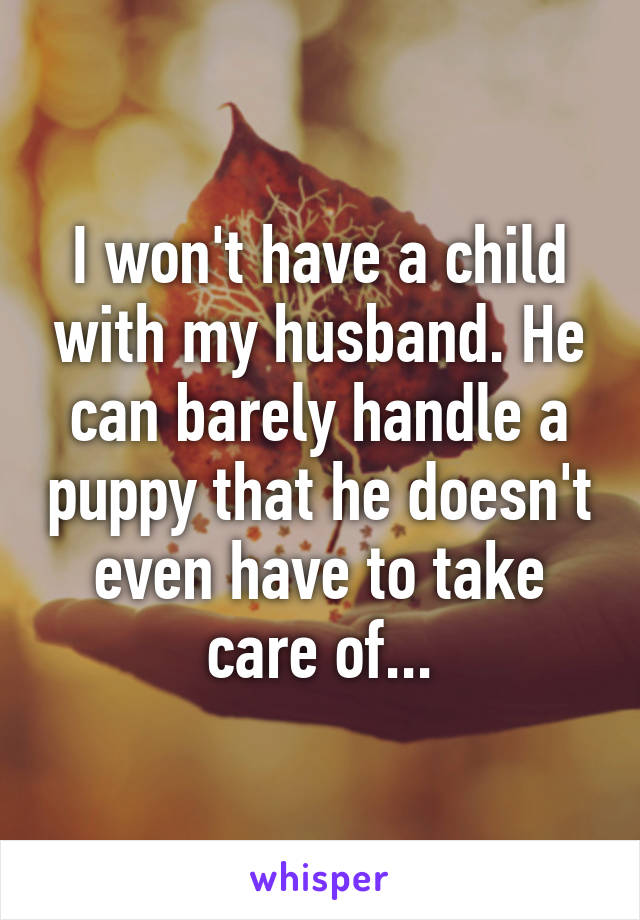 I won't have a child with my husband. He can barely handle a puppy that he doesn't even have to take care of...