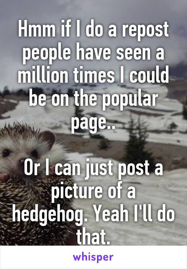 Hmm if I do a repost people have seen a million times I could be on the popular page..

Or I can just post a picture of a hedgehog. Yeah I'll do that.