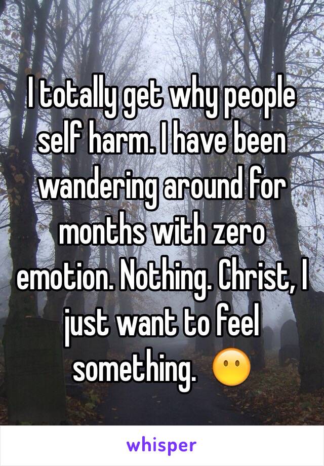 I totally get why people self harm. I have been wandering around for months with zero emotion. Nothing. Christ, I just want to feel something.  😶