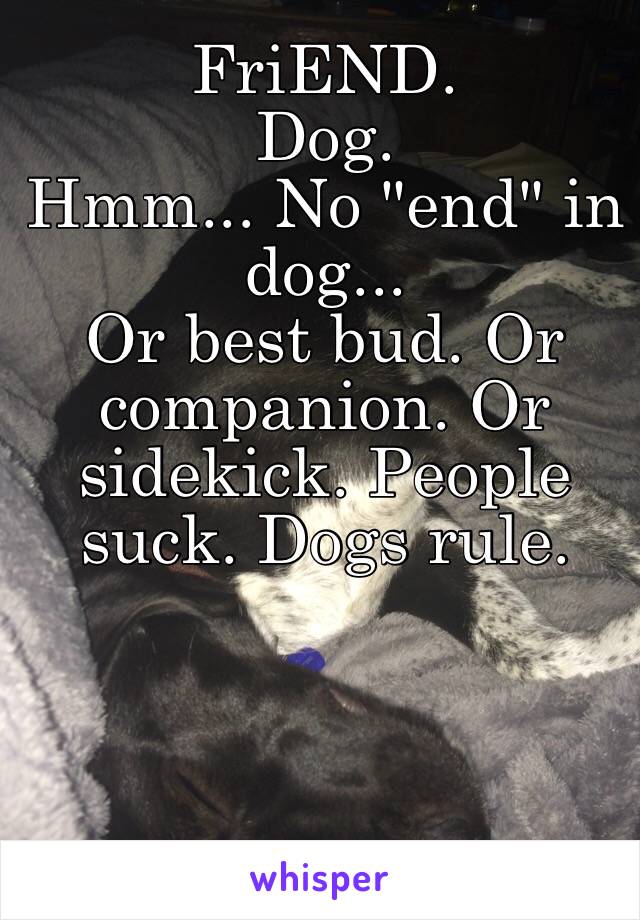 FriEND.
Dog.
Hmm... No "end" in dog...
Or best bud. Or companion. Or sidekick. People suck. Dogs rule.