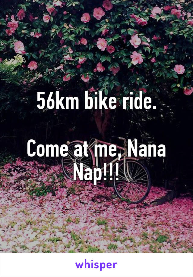 56km bike ride.

Come at me, Nana Nap!!!