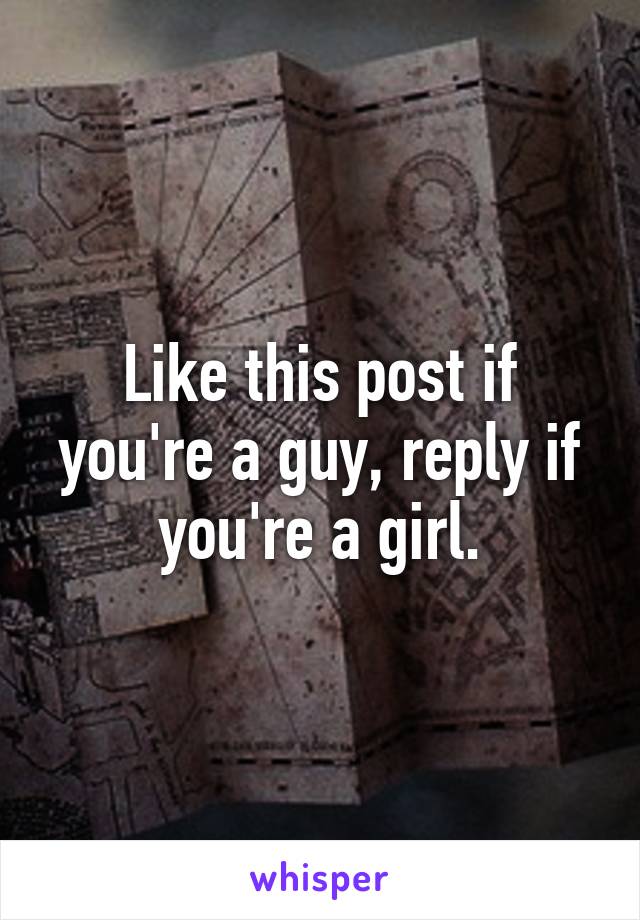 Like this post if you're a guy, reply if you're a girl.