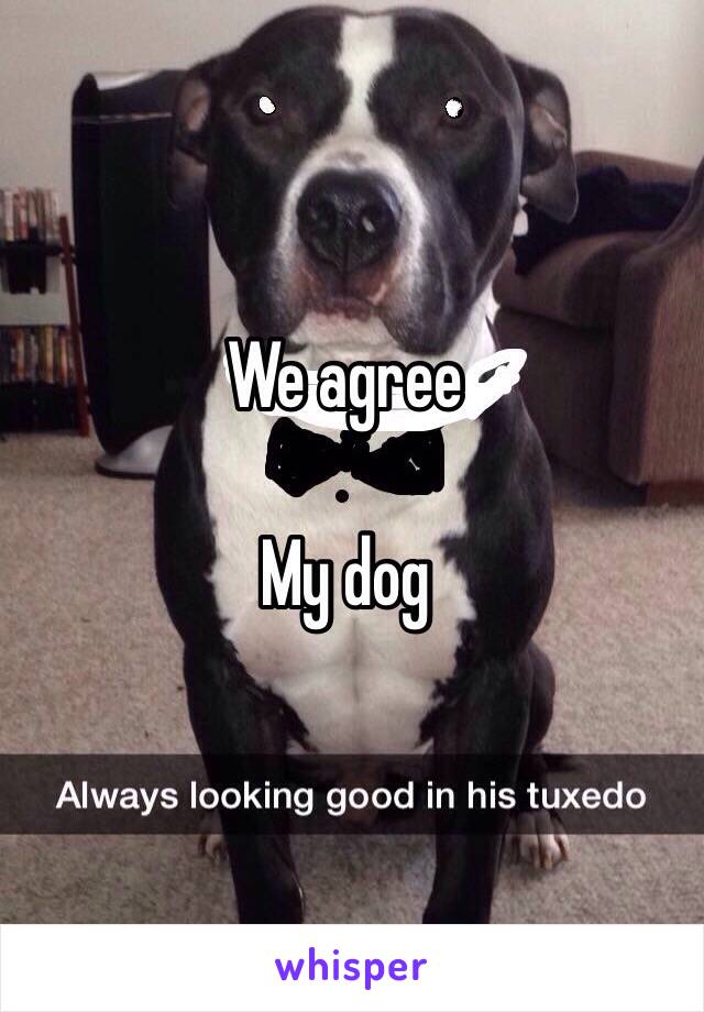 We agree

My dog 