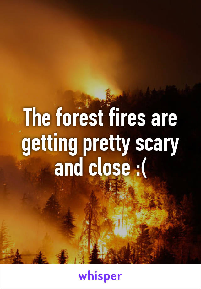 The forest fires are getting pretty scary and close :(