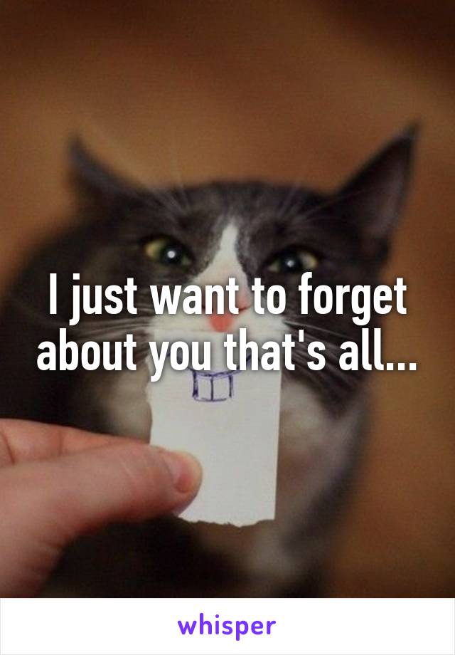 I just want to forget about you that's all...