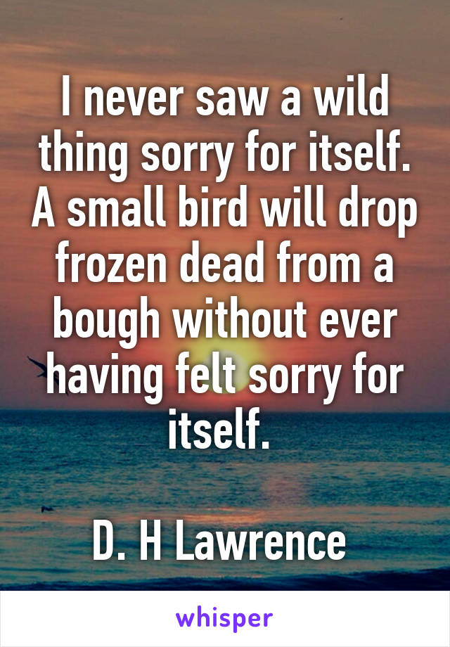 I never saw a wild thing sorry for itself. A small bird will drop frozen dead from a bough without ever having felt sorry for itself. 

D. H Lawrence 