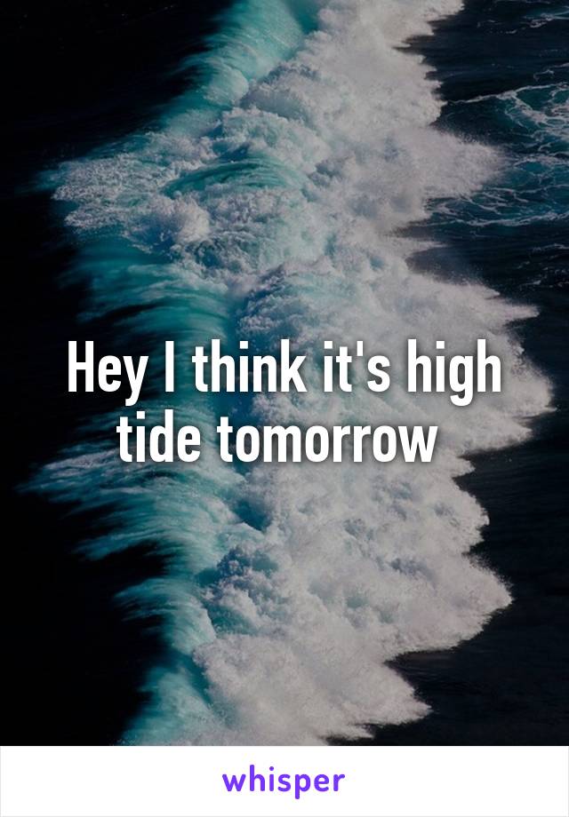 Hey I think it's high tide tomorrow 