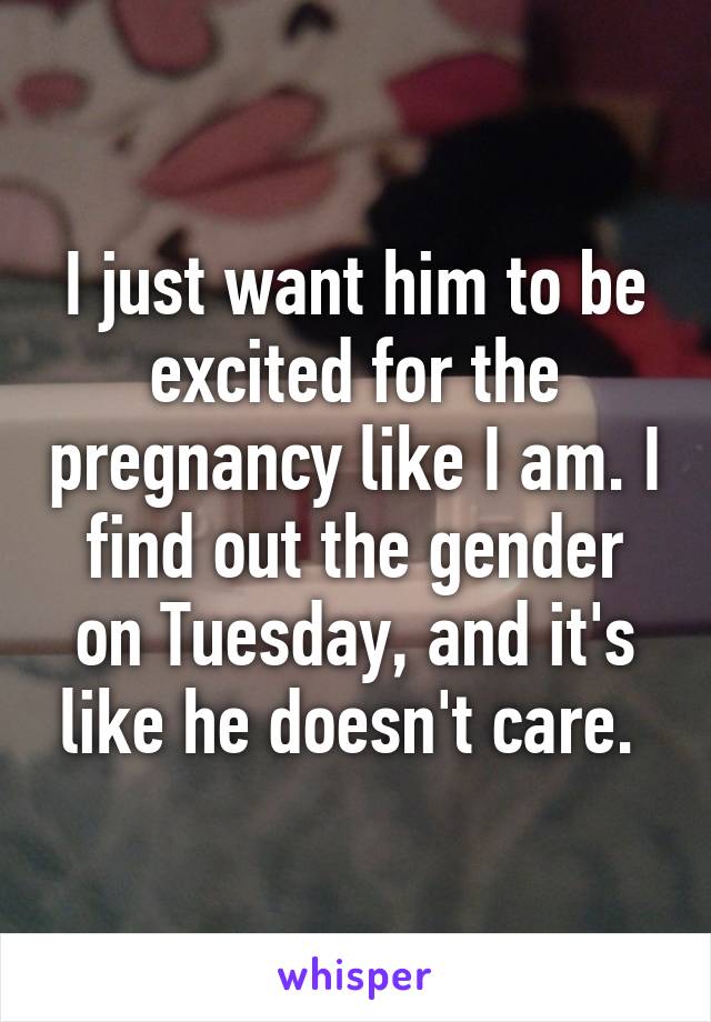 I just want him to be excited for the pregnancy like I am. I find out the gender on Tuesday, and it's like he doesn't care. 