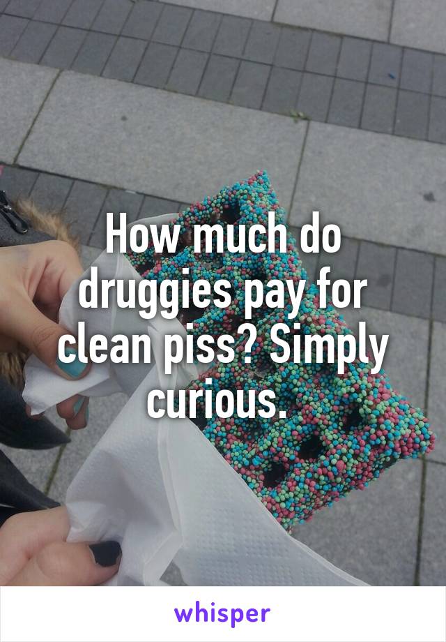 How much do druggies pay for clean piss? Simply curious. 