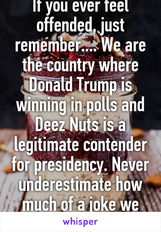 If you ever feel offended, just remember.... We are the country where Donald Trump is winning in polls and Deez Nuts is a legitimate contender for presidency. Never underestimate how much of a joke we can be.