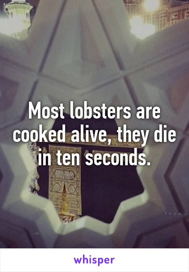 Most lobsters are cooked alive, they die in ten seconds.