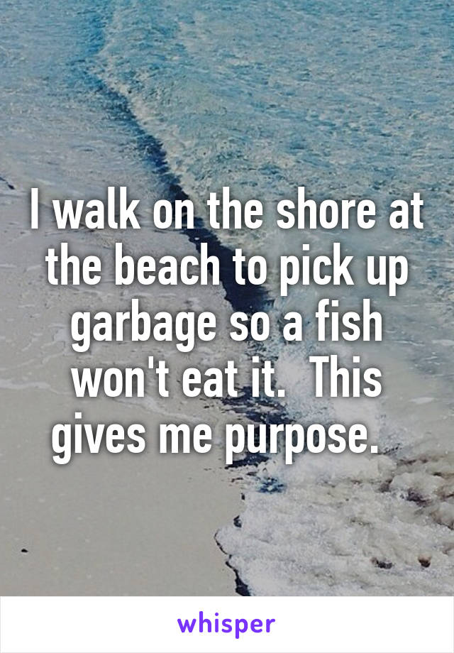 I walk on the shore at the beach to pick up garbage so a fish won't eat it.  This gives me purpose.  