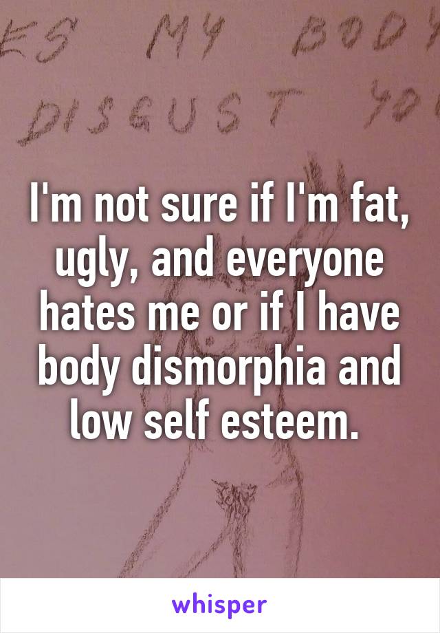 I'm not sure if I'm fat, ugly, and everyone hates me or if I have body dismorphia and low self esteem. 