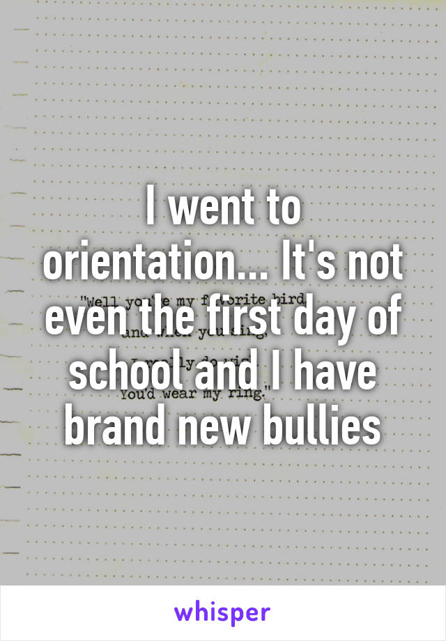 I went to orientation... It's not even the first day of school and I have brand new bullies