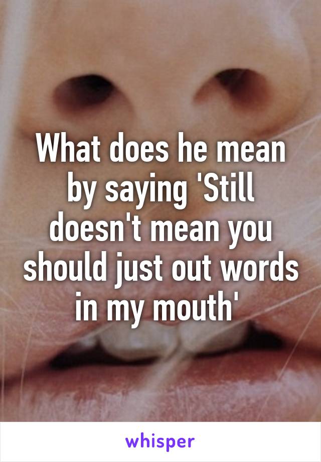 What does he mean by saying 'Still doesn't mean you should just out words in my mouth' 