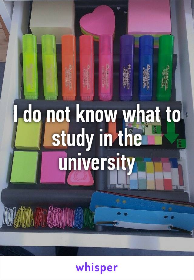 I do not know what to study in the university