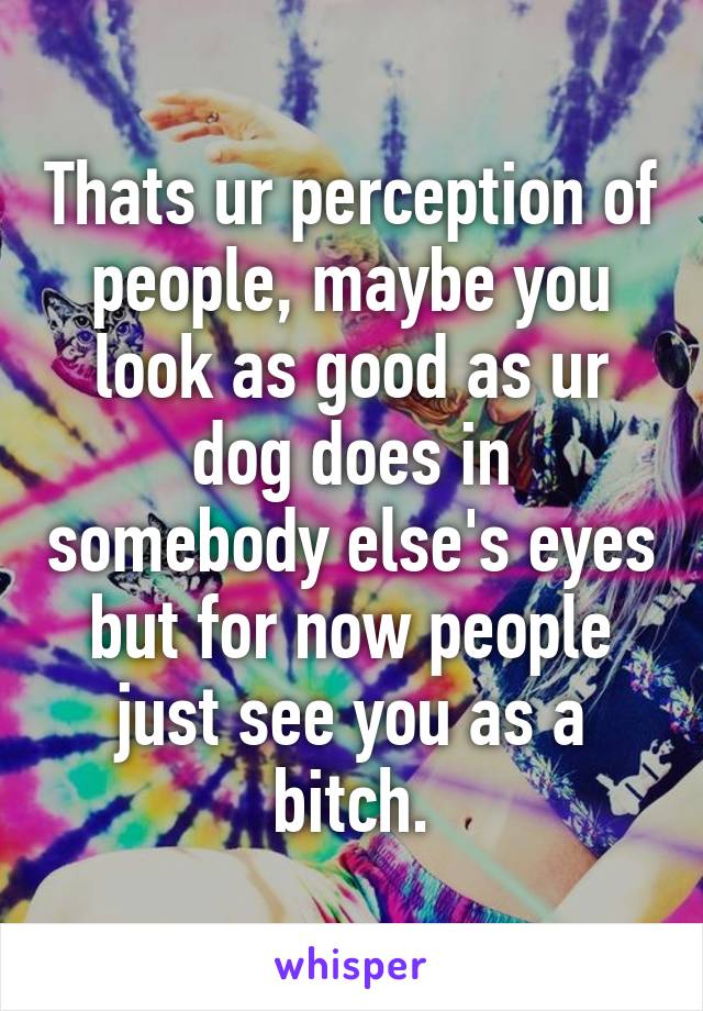 Thats ur perception of people, maybe you look as good as ur dog does in somebody else's eyes but for now people just see you as a bitch.