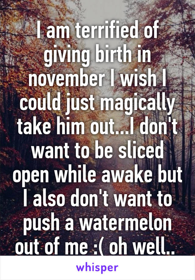 I am terrified of giving birth in november I wish I could just magically take him out...I don't want to be sliced open while awake but I also don't want to push a watermelon out of me :( oh well.. 