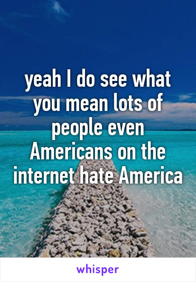 yeah I do see what you mean lots of people even Americans on the internet hate America 