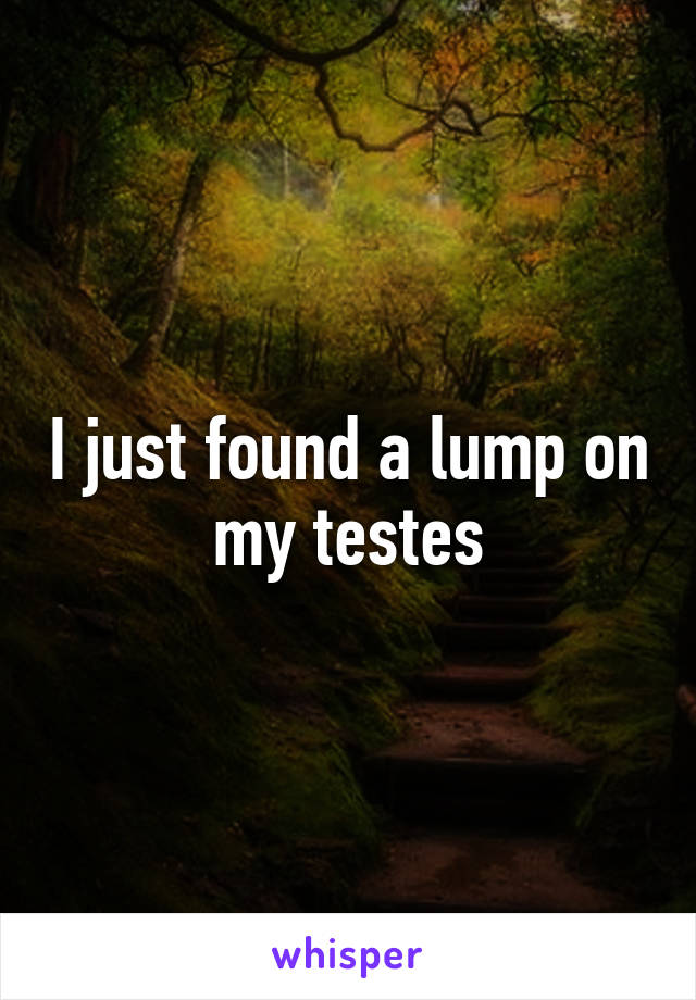 I just found a lump on my testes