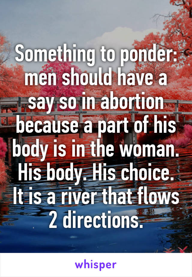 Something to ponder: men should have a say so in abortion because a part of his body is in the woman. His body. His choice. It is a river that flows 2 directions.