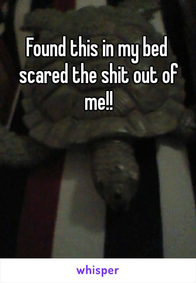 Found this in my bed scared the shit out of me!!