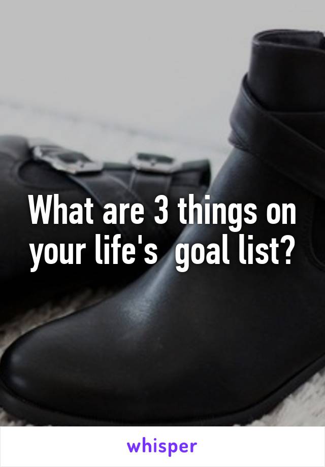 What are 3 things on your life's  goal list?