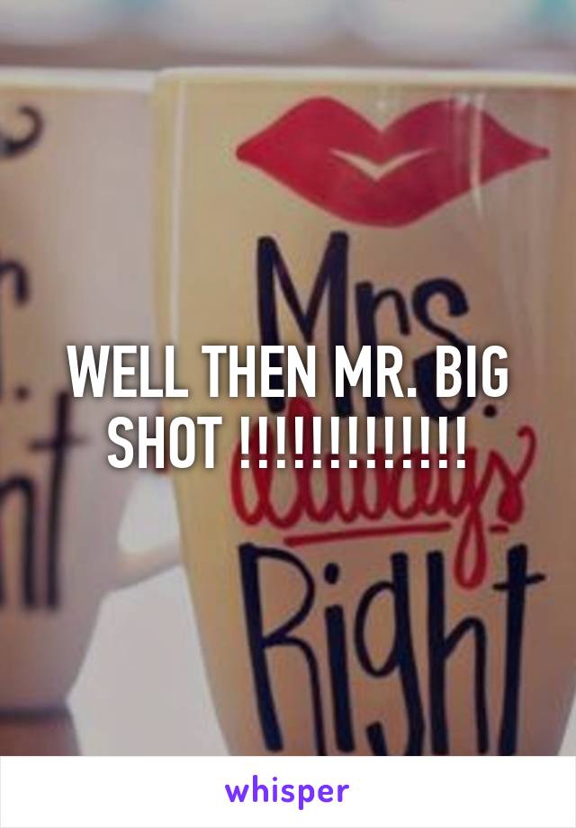 WELL THEN MR. BIG SHOT !!!!!!!!!!!!!