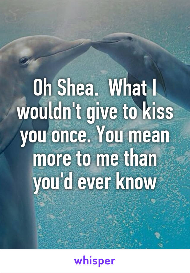 Oh Shea.  What I wouldn't give to kiss you once. You mean more to me than you'd ever know