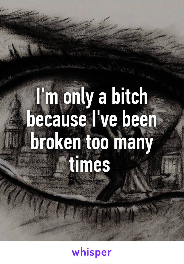 I'm only a bitch because I've been broken too many times 