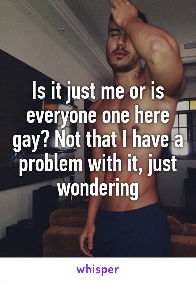 Is it just me or is everyone one here gay? Not that I have a problem with it, just wondering