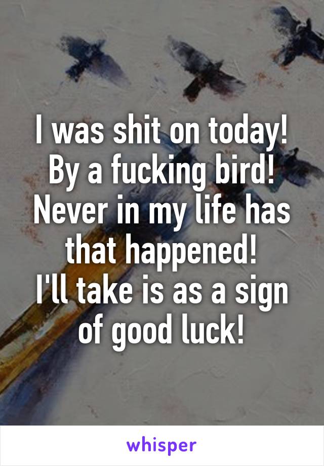 I was shit on today! By a fucking bird! Never in my life has that happened!
I'll take is as a sign of good luck!