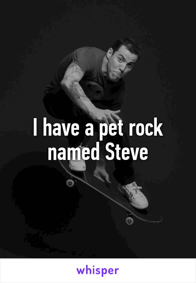 I have a pet rock named Steve