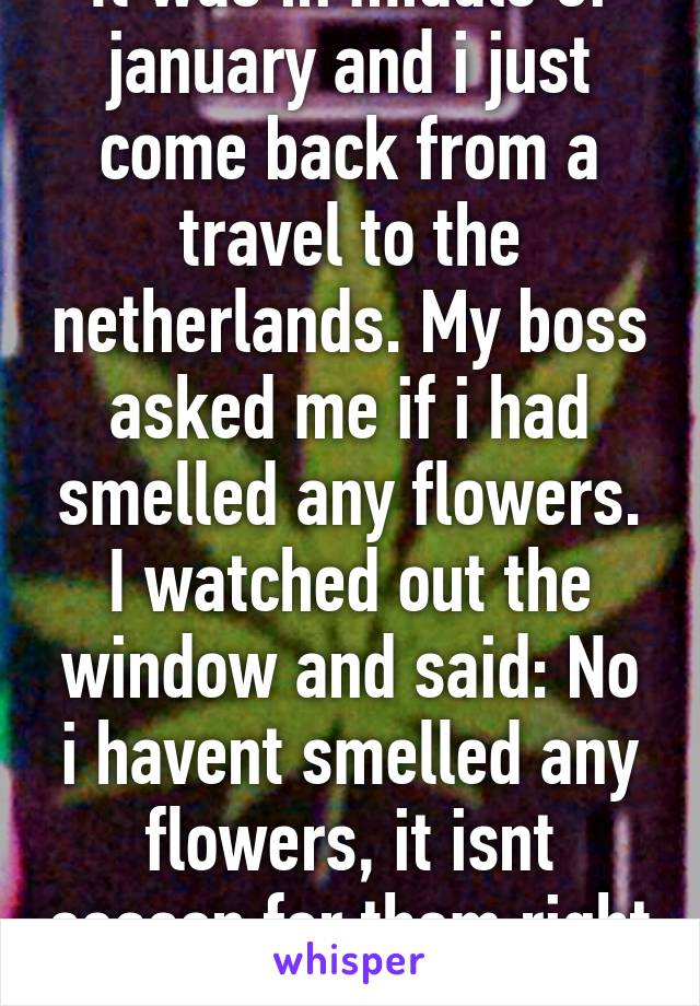 It was in middle of january and i just come back from a travel to the netherlands. My boss asked me if i had smelled any flowers. I watched out the window and said: No i havent smelled any flowers, it isnt season for them right now.