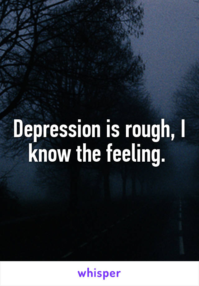 Depression is rough, I know the feeling. 