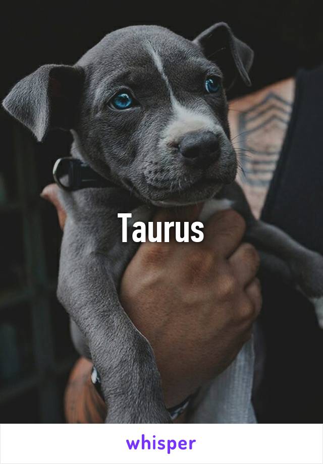 Taurus