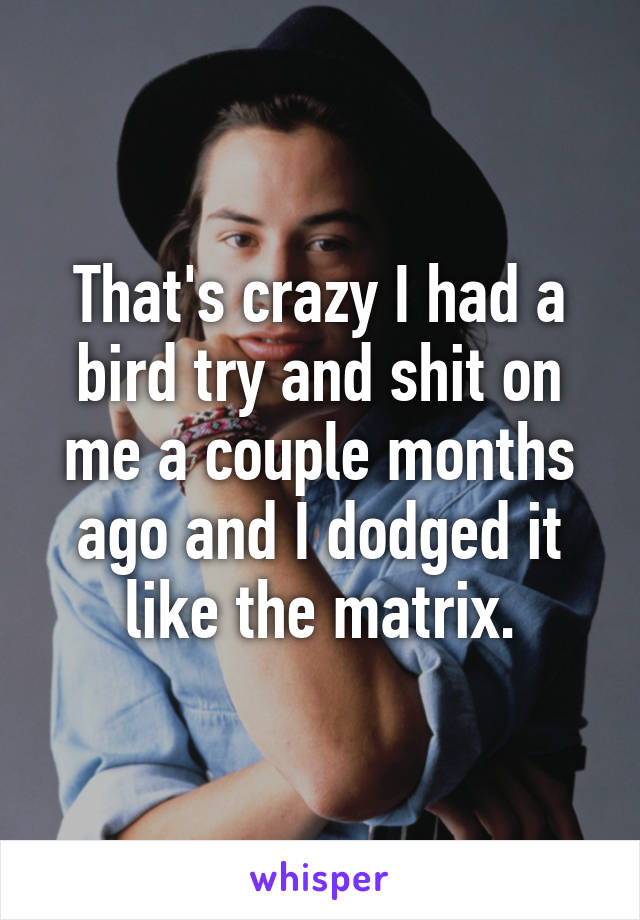 That's crazy I had a bird try and shit on me a couple months ago and I dodged it like the matrix.