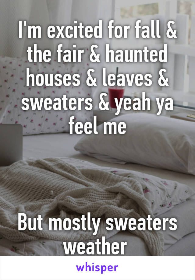 I'm excited for fall & the fair & haunted houses & leaves & sweaters & yeah ya feel me



But mostly sweaters weather 