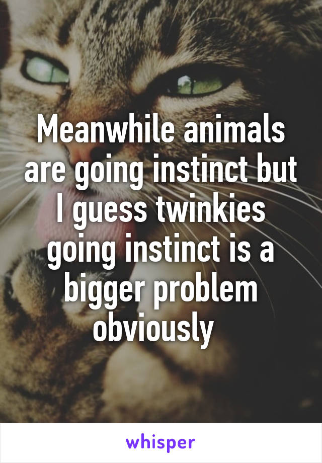 Meanwhile animals are going instinct but I guess twinkies going instinct is a bigger problem obviously  