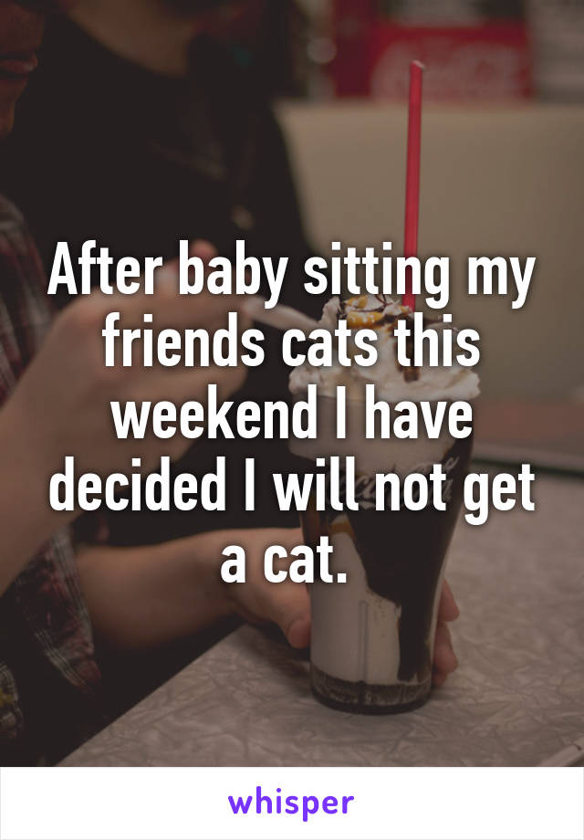 After baby sitting my friends cats this weekend I have decided I will not get a cat. 