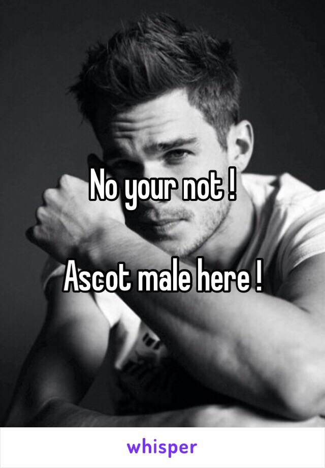 No your not !

Ascot male here ! 