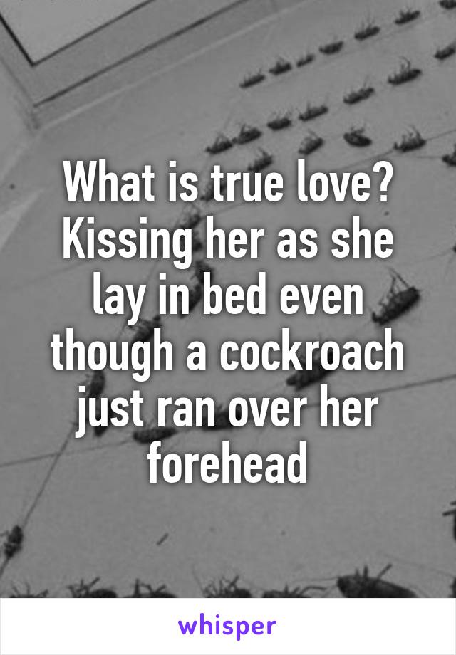 What is true love?
Kissing her as she lay in bed even though a cockroach just ran over her forehead